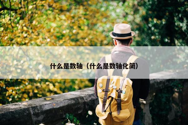 什么是数轴（什么是数轴化简）