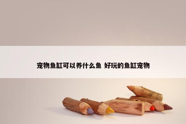 宠物鱼缸可以养什么鱼 好玩的鱼缸宠物