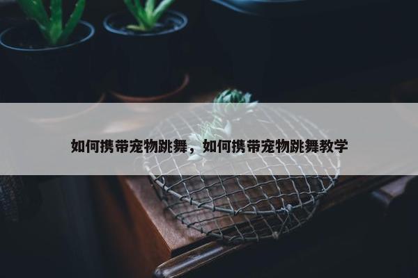 如何携带宠物跳舞，如何携带宠物跳舞教学