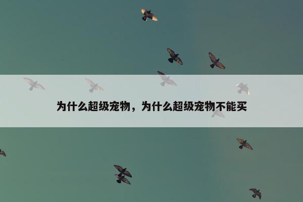 为什么超级宠物，为什么超级宠物不能买