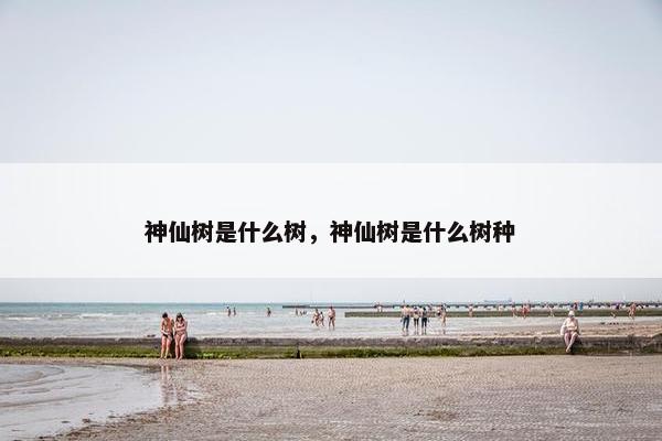 神仙树是什么树，神仙树是什么树种