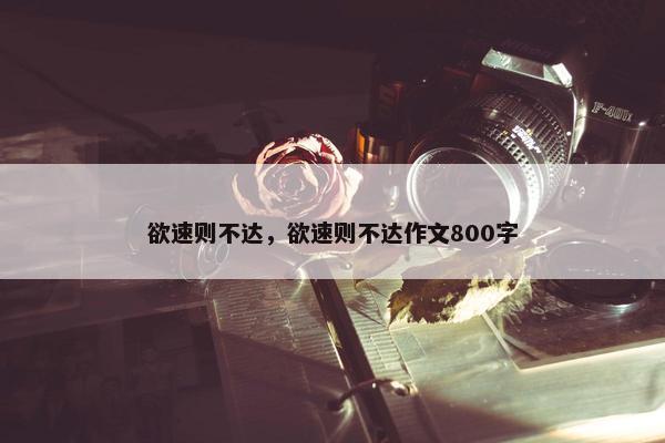 欲速则不达，欲速则不达作文800字