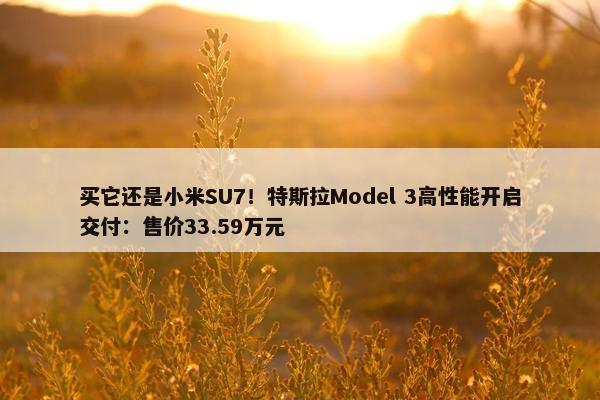 买它还是小米SU7！特斯拉Model 3高性能开启交付：售价33.59万元