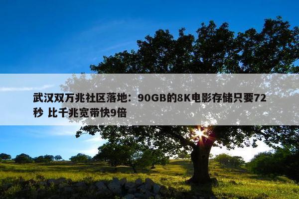 武汉双万兆社区落地：90GB的8K电影存储只要72秒 比千兆宽带快9倍