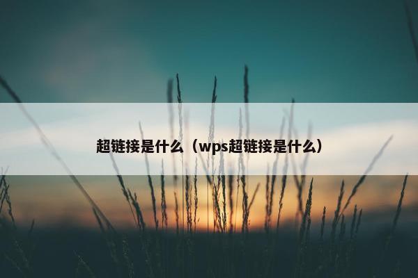 超链接是什么（wps超链接是什么）