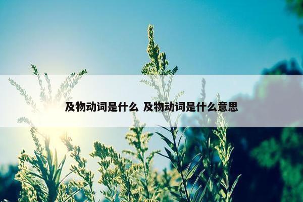 及物动词是什么 及物动词是什么意思