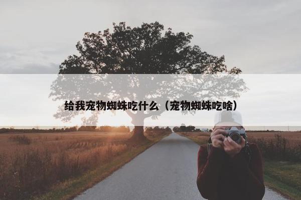 给我宠物蜘蛛吃什么（宠物蜘蛛吃啥）