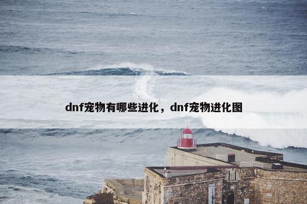 dnf宠物有哪些进化，dnf宠物进化图