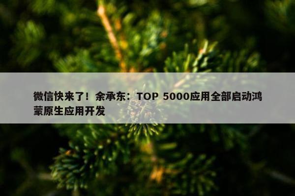 微信快来了！余承东：TOP 5000应用全部启动鸿蒙原生应用开发