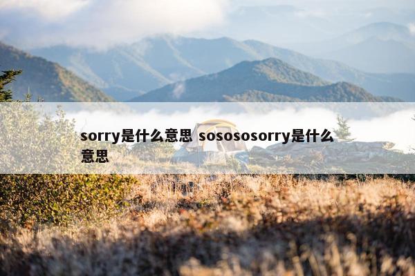 sorry是什么意思 sosososorry是什么意思