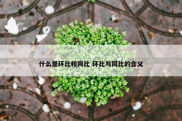 什么是环比和同比 环比与同比的含义