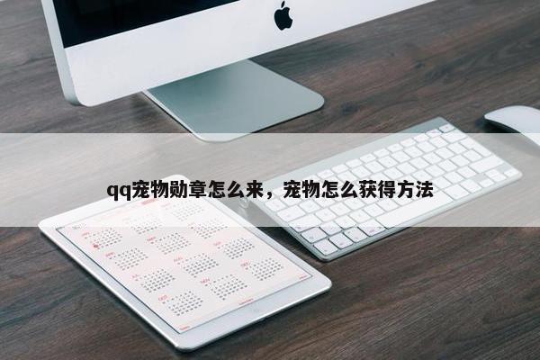 qq宠物勋章怎么来，宠物怎么获得方法