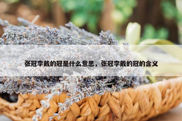 张冠李戴的冠是什么意思，张冠李戴的冠的含义