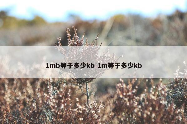 1mb等于多少kb 1m等于多少kb