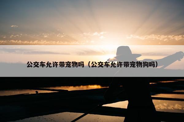 公交车允许带宠物吗（公交车允许带宠物狗吗）