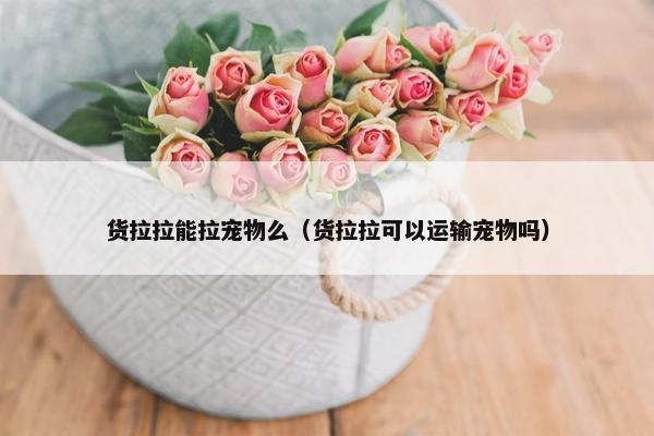 货拉拉能拉宠物么（货拉拉可以运输宠物吗）