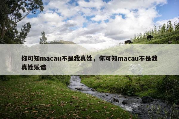 你可知macau不是我真姓，你可知macau不是我真姓乐谱