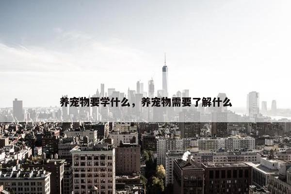 养宠物要学什么，养宠物需要了解什么