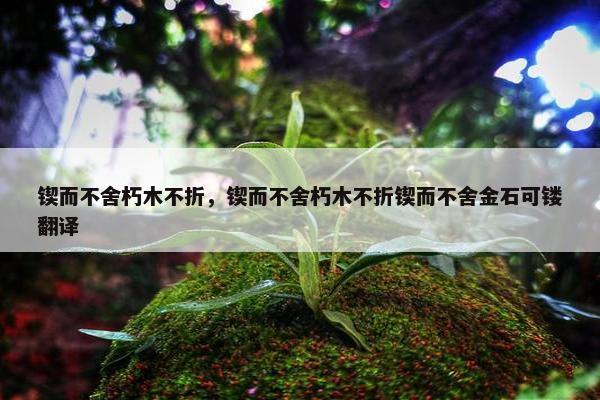 锲而不舍朽木不折，锲而不舍朽木不折锲而不舍金石可镂翻译