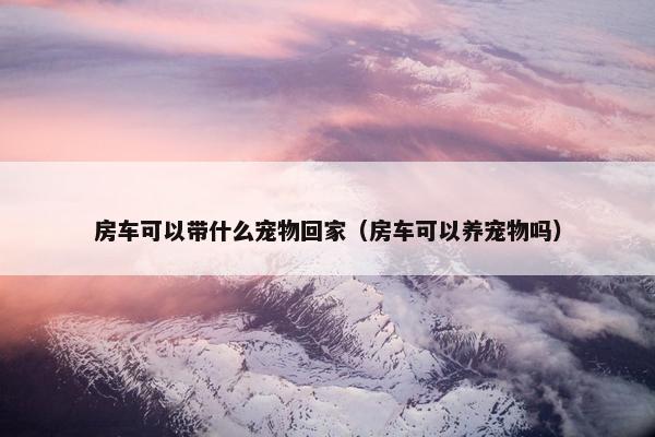 房车可以带什么宠物回家（房车可以养宠物吗）