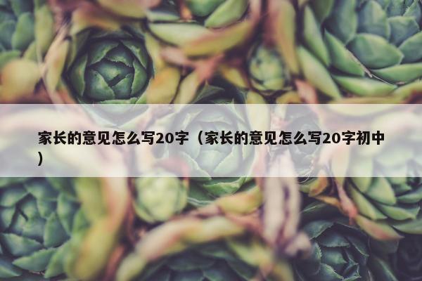 家长的意见怎么写20字（家长的意见怎么写20字初中）