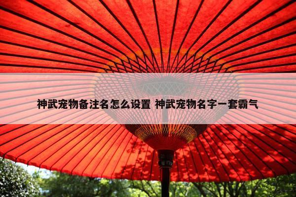 神武宠物备注名怎么设置 神武宠物名字一套霸气