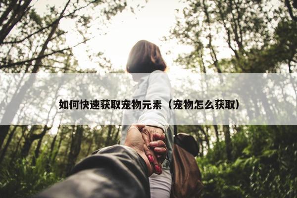 如何快速获取宠物元素（宠物怎么获取）