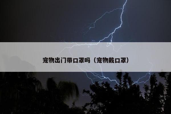 宠物出门带口罩吗（宠物戴口罩）