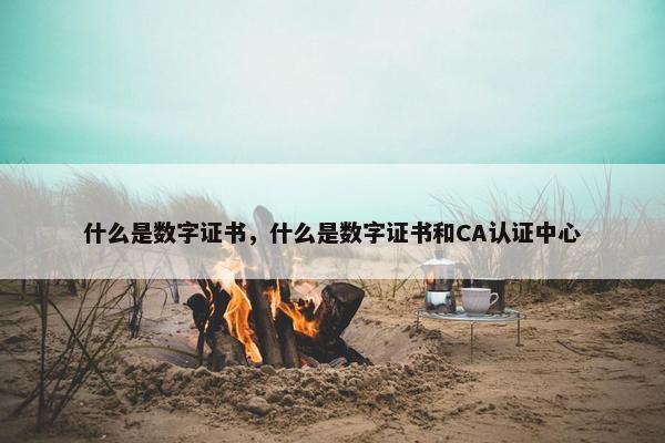 什么是数字证书，什么是数字证书和CA认证中心