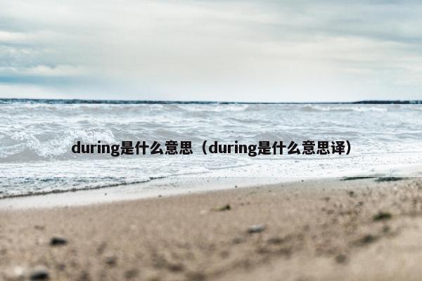 during是什么意思（during是什么意思译）