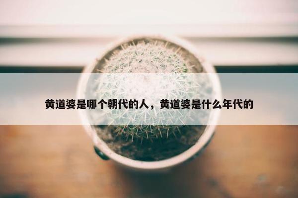 黄道婆是哪个朝代的人，黄道婆是什么年代的