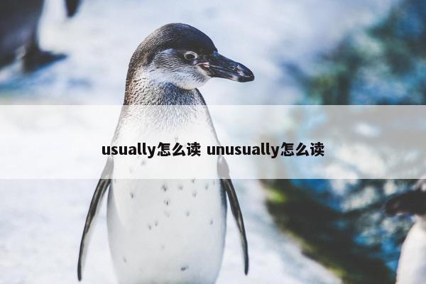 usually怎么读 unusually怎么读