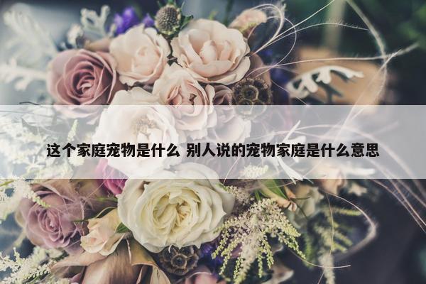 这个家庭宠物是什么 别人说的宠物家庭是什么意思