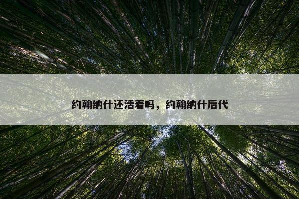 约翰纳什还活着吗，约翰纳什后代