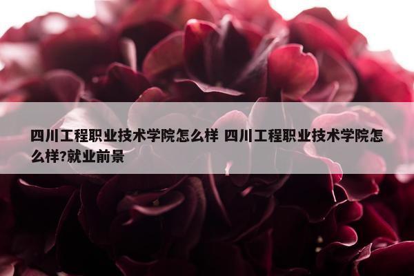 四川工程职业技术学院怎么样 四川工程职业技术学院怎么样?就业前景