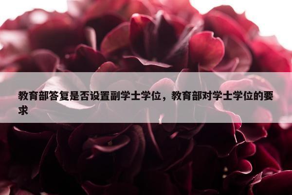 教育部答复是否设置副学士学位，教育部对学士学位的要求