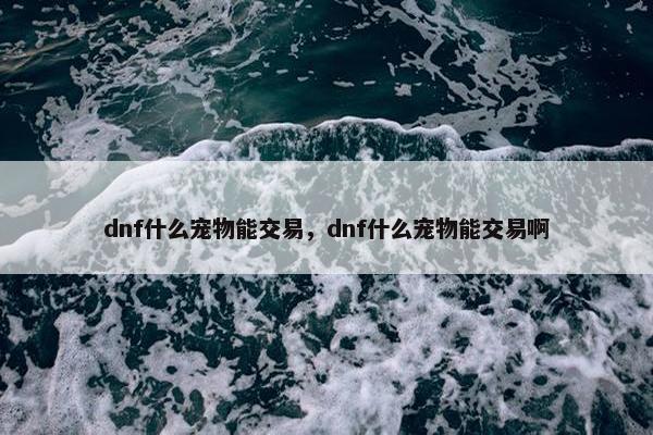 dnf什么宠物能交易，dnf什么宠物能交易啊