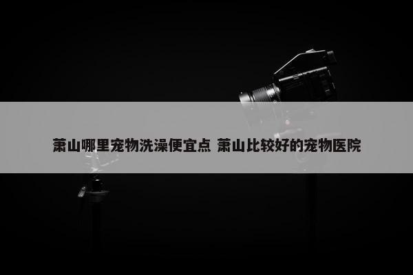 萧山哪里宠物洗澡便宜点 萧山比较好的宠物医院