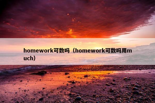 homework可数吗（homework可数吗用much）