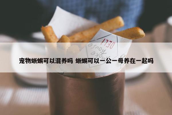 宠物蜥蜴可以混养吗 蜥蜴可以一公一母养在一起吗