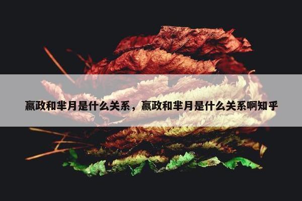 嬴政和芈月是什么关系，嬴政和芈月是什么关系啊知乎