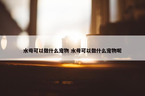 水母可以做什么宠物 水母可以做什么宠物呢