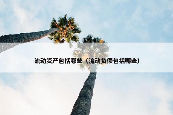 流动资产包括哪些（流动负债包括哪些）