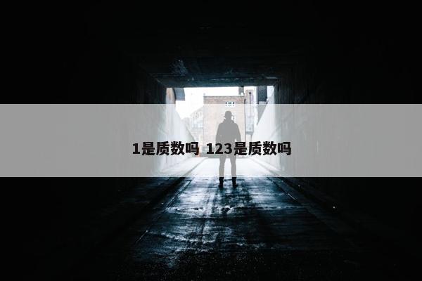 1是质数吗 123是质数吗