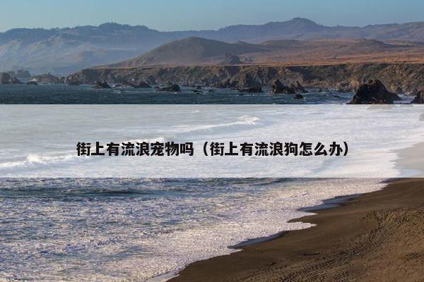 街上有流浪宠物吗（街上有流浪狗怎么办）