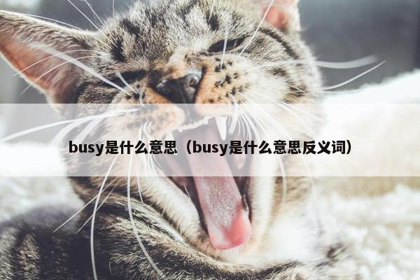 busy是什么意思（busy是什么意思反义词）