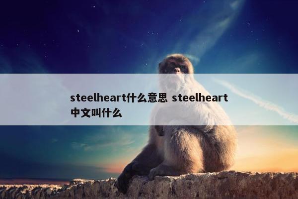 steelheart什么意思 steelheart中文叫什么