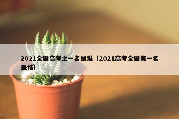 2021全国高考之一名是谁（2021高考全国第一名是谁）