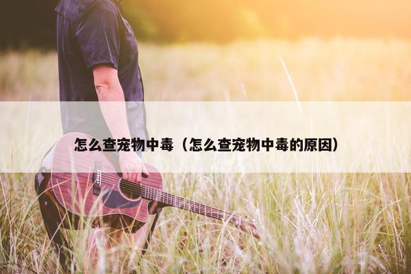 怎么查宠物中毒（怎么查宠物中毒的原因）