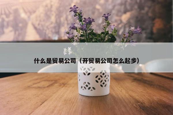 什么是贸易公司（开贸易公司怎么起步）